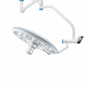 Bayer Stalient 2 nòng - logo (40).png